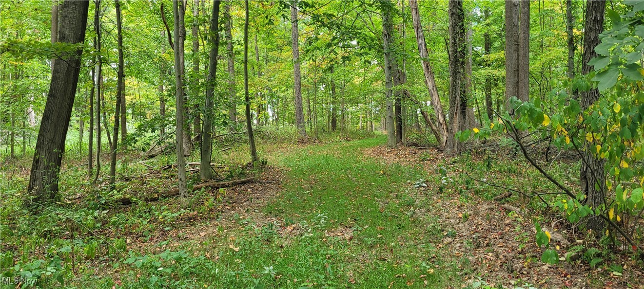 343 County Road Coshocton, OH 43812 - Photo 22 of 49 Gallery Image 22