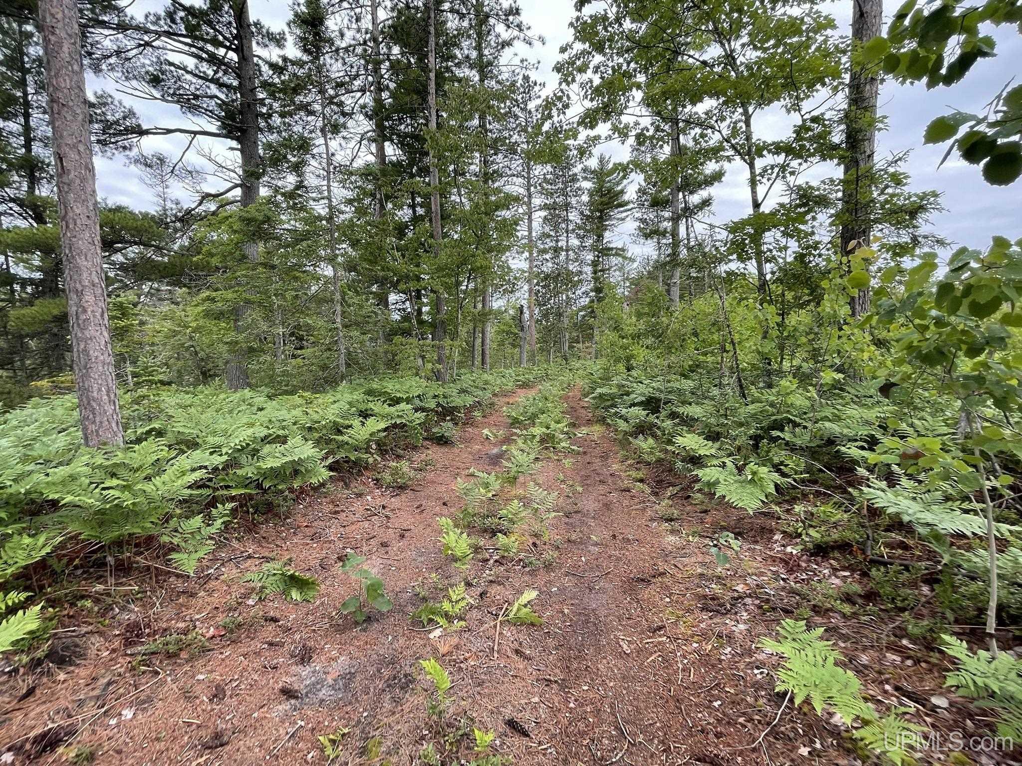 Tbd Tbd Hay Meadow Road Manistique, MI 49854 - Photo 48 of 51