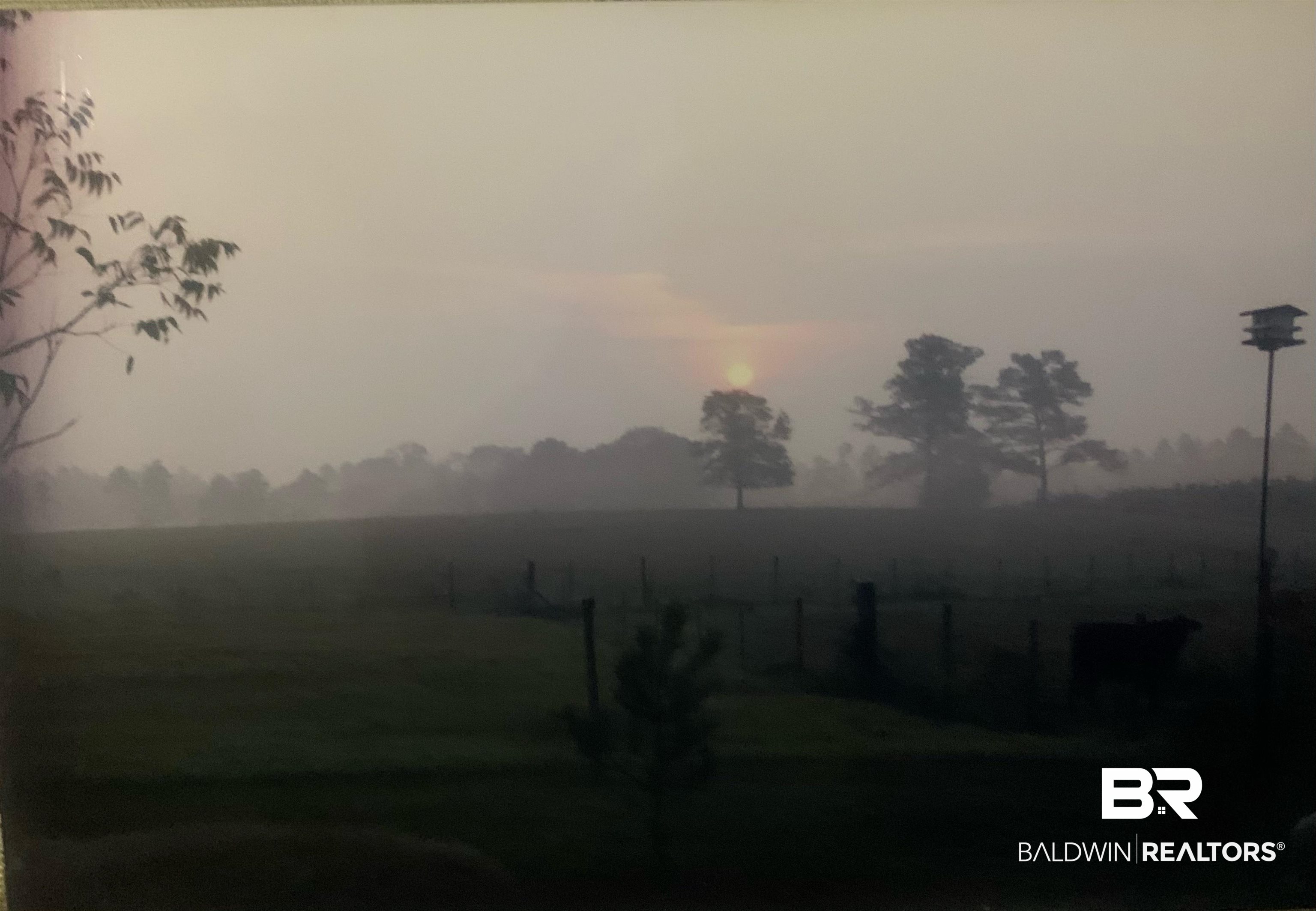 0 Hoyle Bryars Road Perdido, AL 36562 - Photo 4 of 6