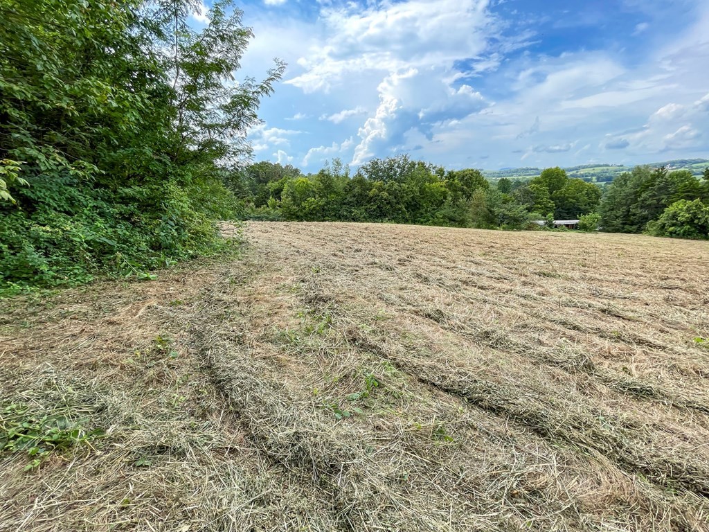 844846 Bales Road New Market, TN 37820 - Photo 30 of 36 Gallery Image 30