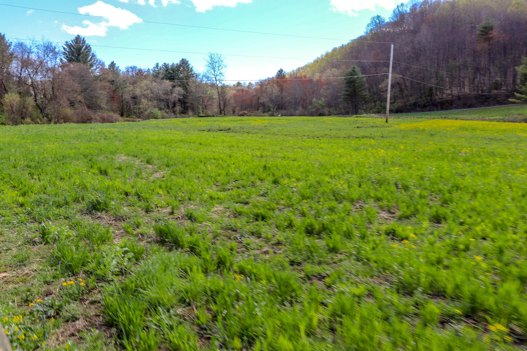 2342 Stable Road Hillsville, VA 24343 - Photo 22 of 31 -7858996800750571958_IMG_1174