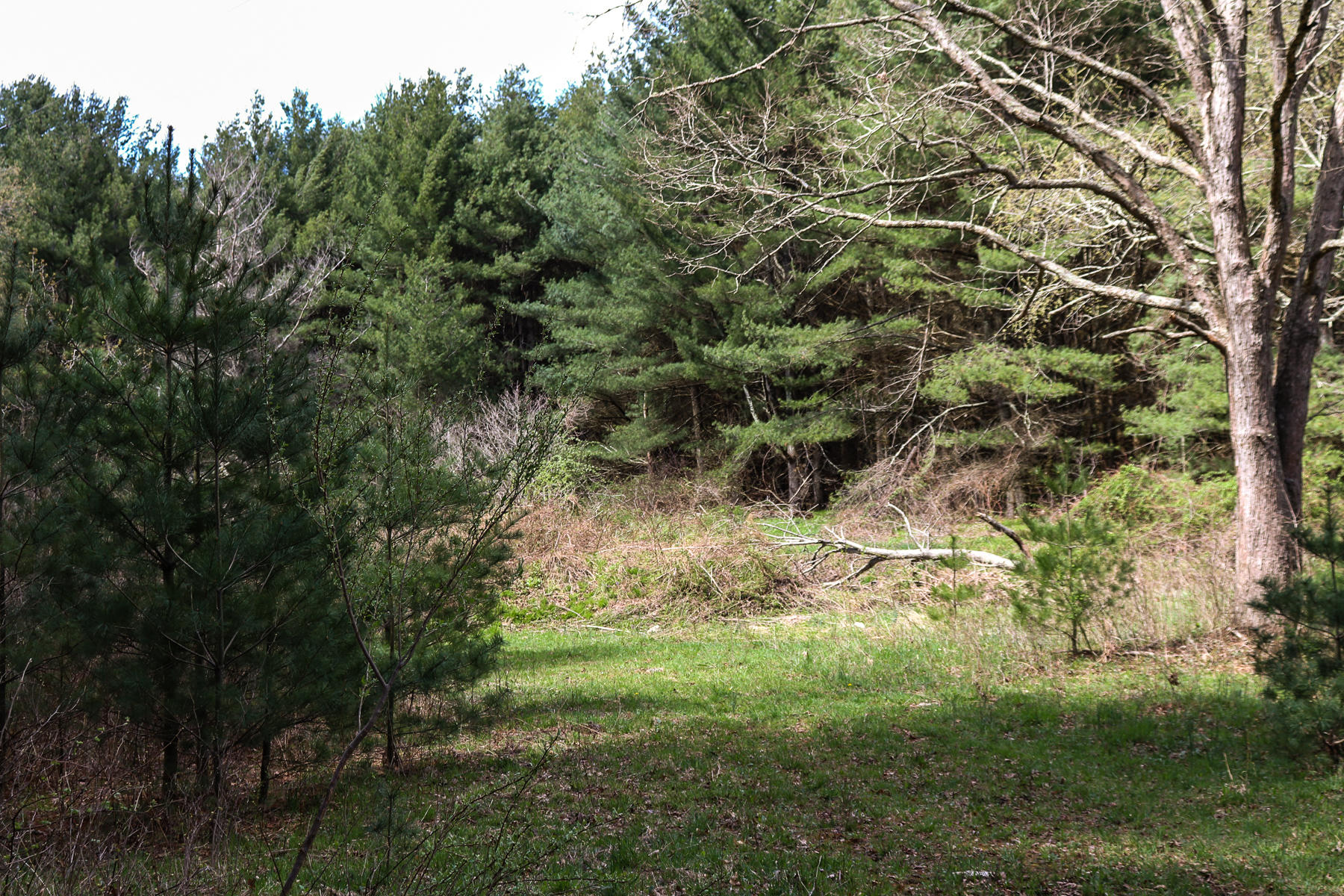 2342 Stable Road Hillsville, VA 24343 - Photo 24 of 31 853014785834413786_IMG_1142