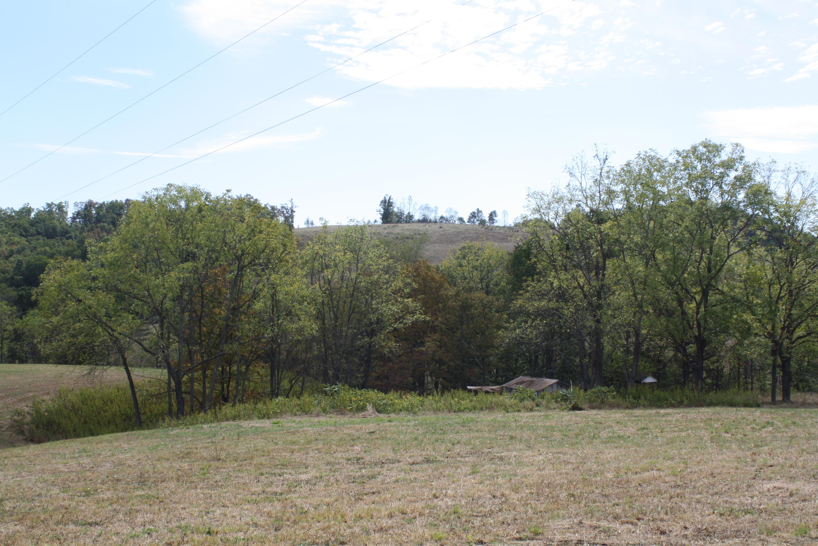 991 Ballengee Road Talcott, WV 24981 - Photo 5 of 16 Gallery Image 5