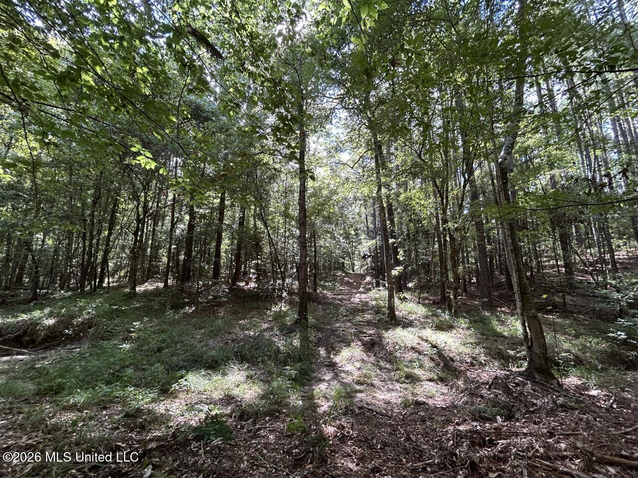 1669 Burt Jordan Road McCall Creek, MS 39647 - Photo 27 of 40 IMG_5798 Large