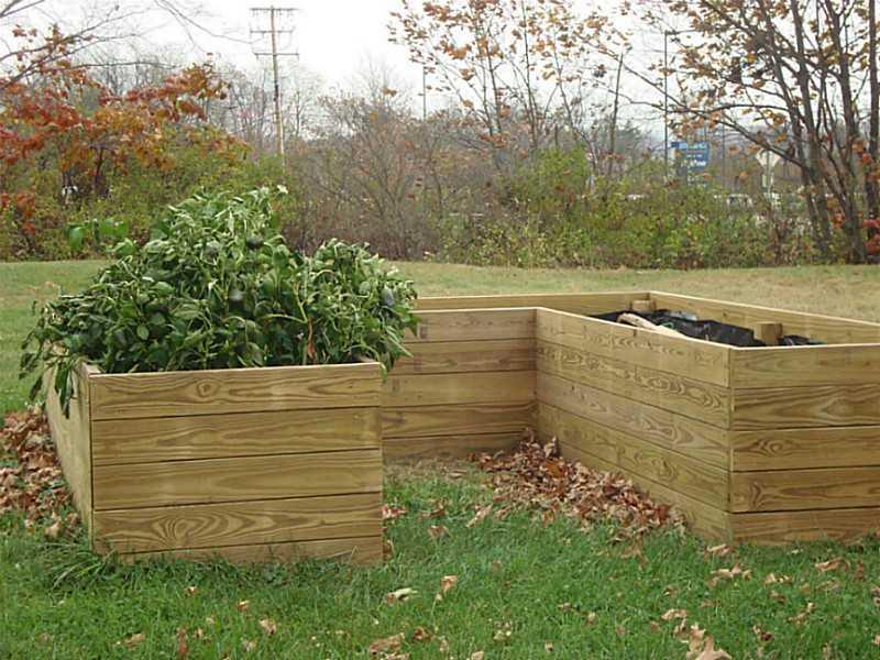 297 Indian Springs Road Indiana, PA 15701 - Photo 10 of 13 Yard/Garden.