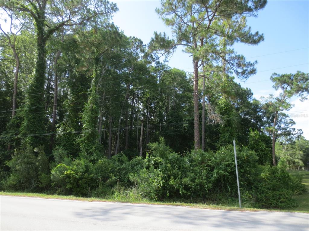 14655 Northeast 14th Street Road Silver Springs, FL 34488 - Photo 1 of 6