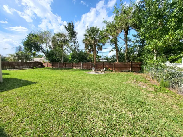 a view of a tree in a yard