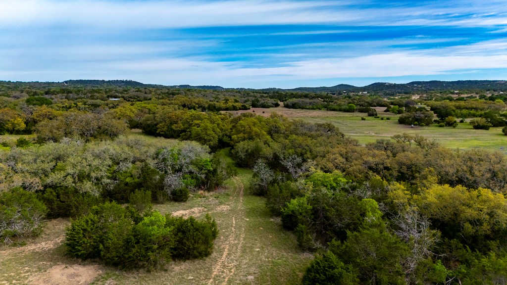 360 Bluff Creek Road North Center Point, TX 78010 - Photo 61 of 64