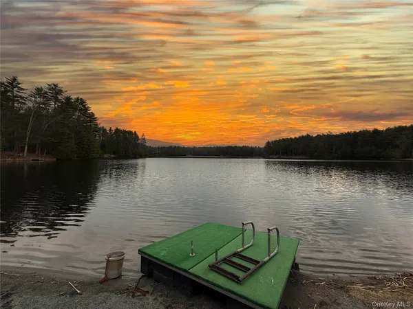 a view of a lake with a beach