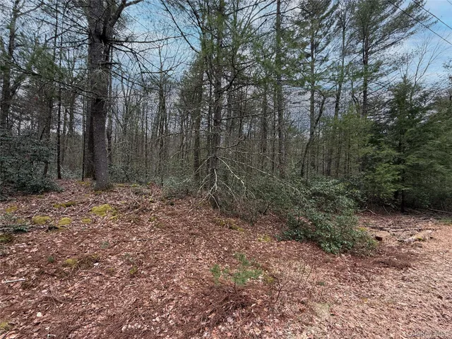 a view of backyard with green space