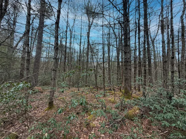 a view of small garden