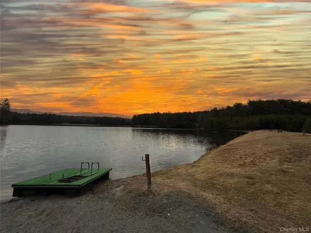 a view of a lake from a yard