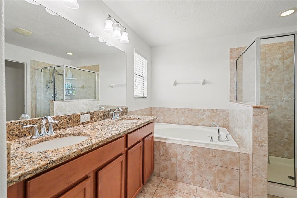 1606 Acadia Harbor Place Brandon, FL 33511 - Photo 18 of 38 a bathroom with a granite countertop tub sink and mirror