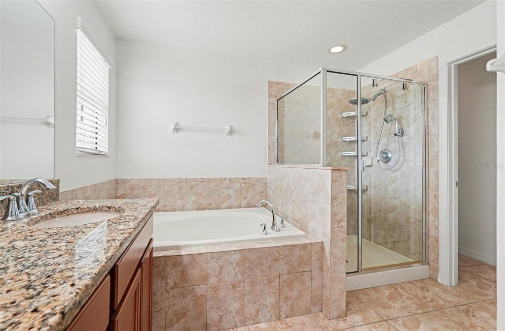 1606 Acadia Harbor Place Brandon, FL 33511 - Photo 19 of 38 a bathroom with a granite countertop bathtub shower sink and mirror