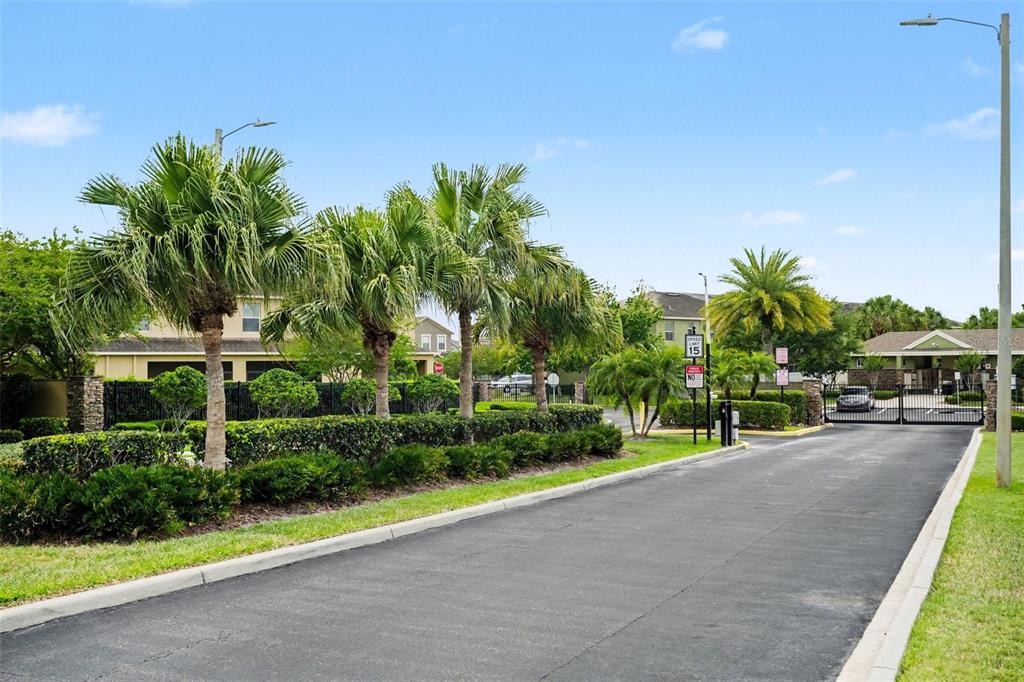 1606 Acadia Harbor Place Brandon, FL 33511 - Photo 33 of 38 a view of a house with a yard and palm trees
