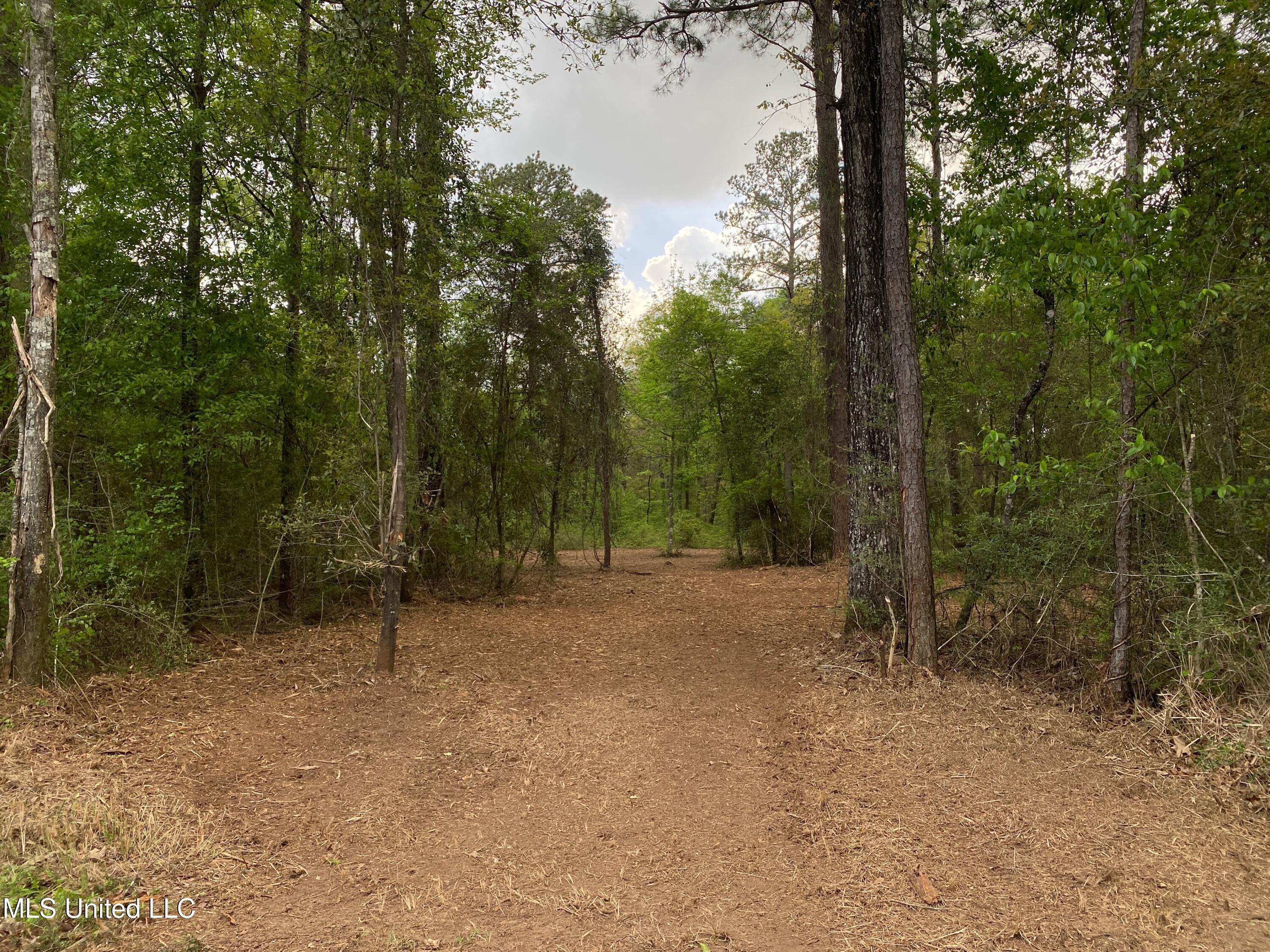 1.29-acres Beaver Dam Road Lucedale, MS 39452 - Photo 1 of 3 IMG_7452