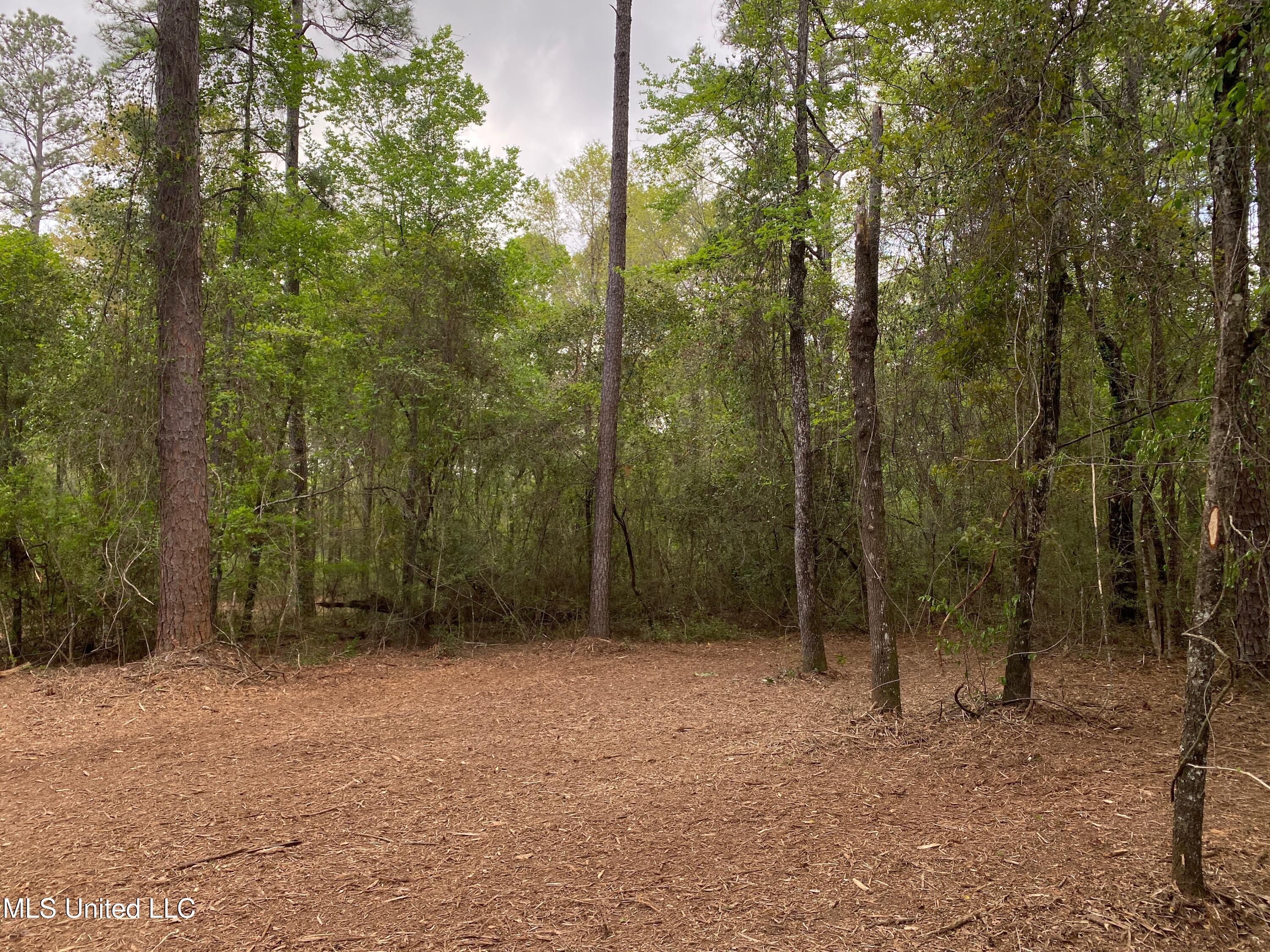 1.29-acres Beaver Dam Road Lucedale, MS 39452 - Photo 2 of 3 IMG_7453