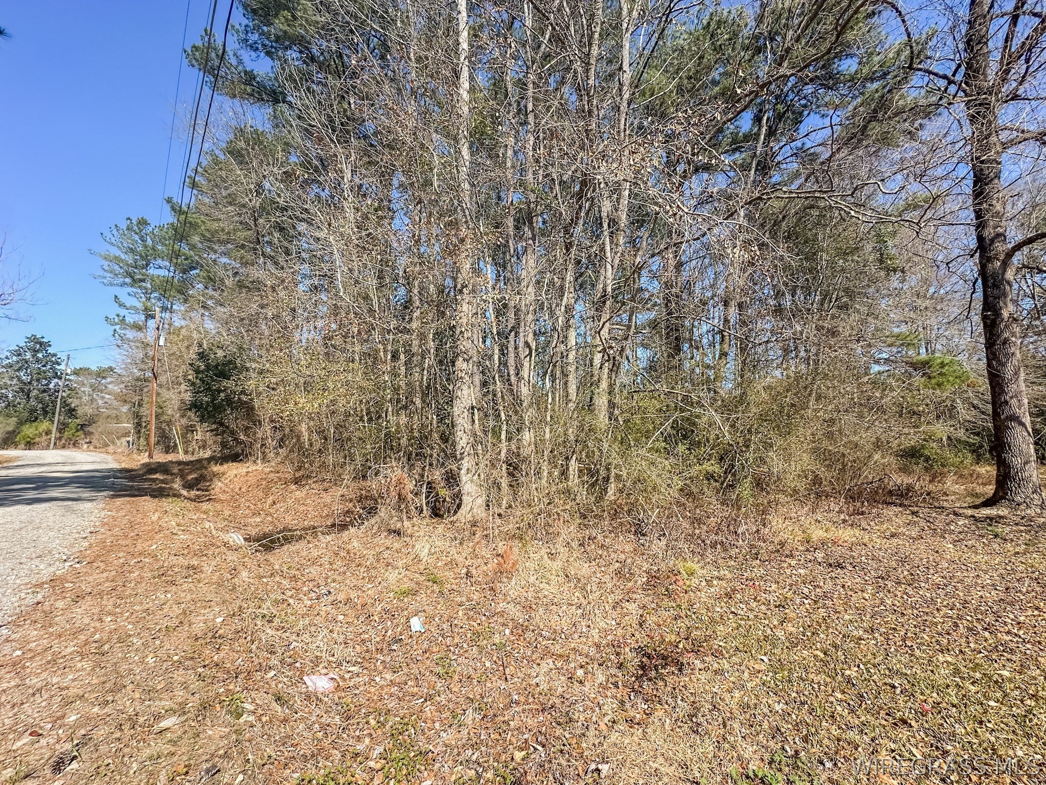 0 Faith Road Hartford, AL 36344 - Photo 2 of 7 Gallery Image 2