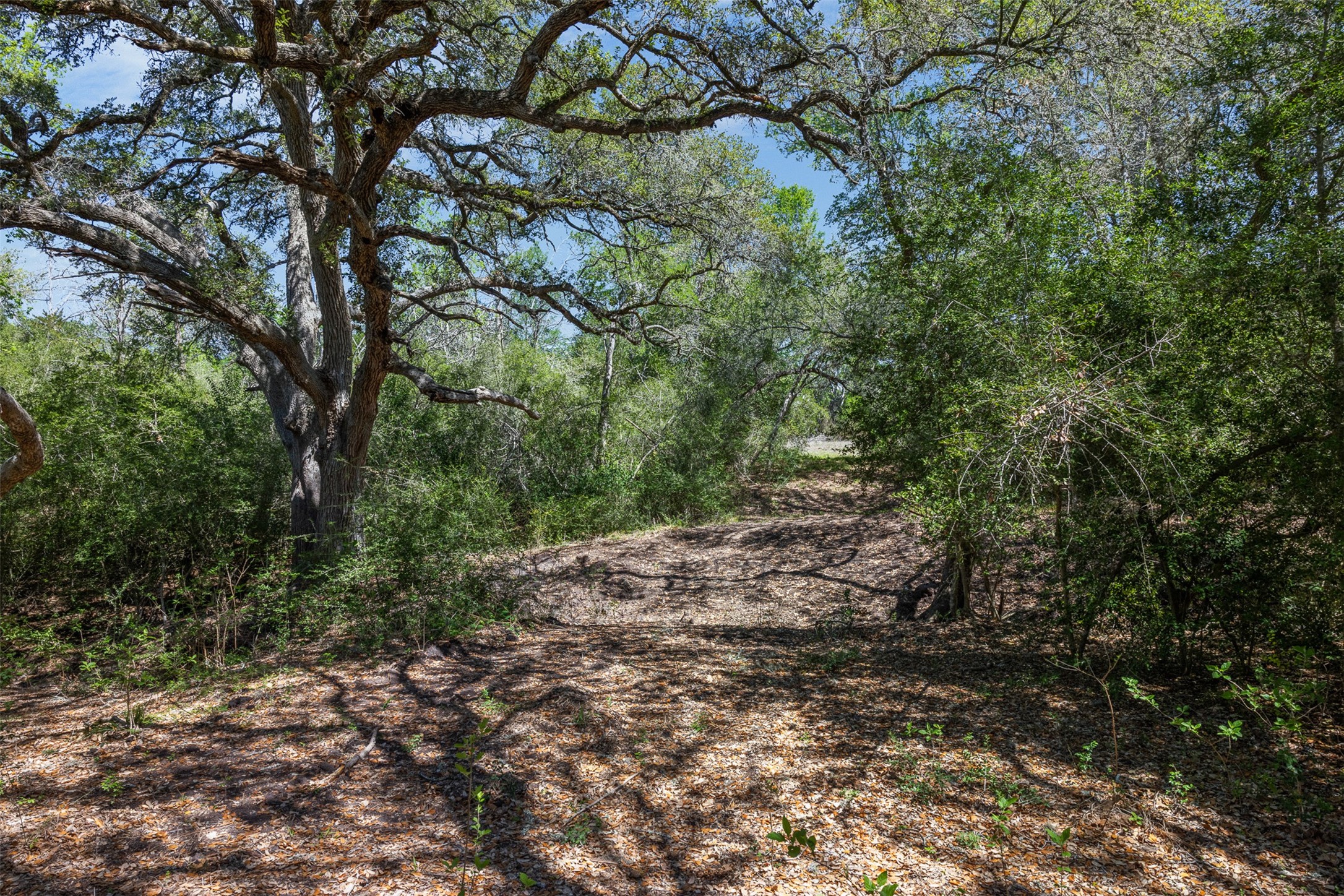2345 Frank Road La Grange, TX 78945 - Photo 23 of 30
