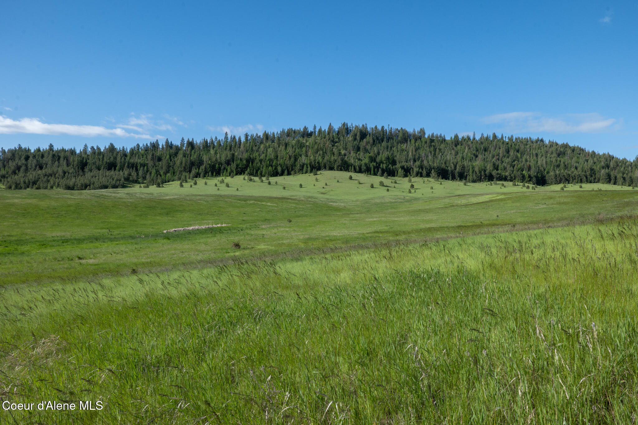 1047 Merideth Road Plummer, ID 83851 - Photo 34 of 56 NWLL Plummer_Parcel D-04