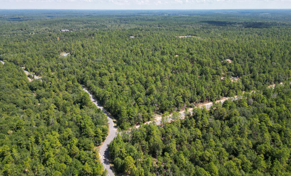 0 Shangri La Road Crestview, FL 32539 - Photo 14 of 16 a view of a lush green field