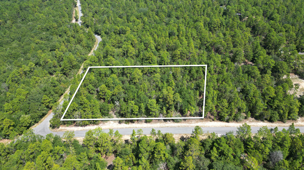 0 Shangri La Road Crestview, FL 32539 - Photo 2 of 16 a view of a yard