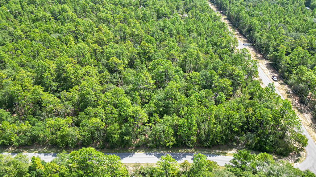 0 Shangri La Road Crestview, FL 32539 - Photo 7 of 16 a view of a garden