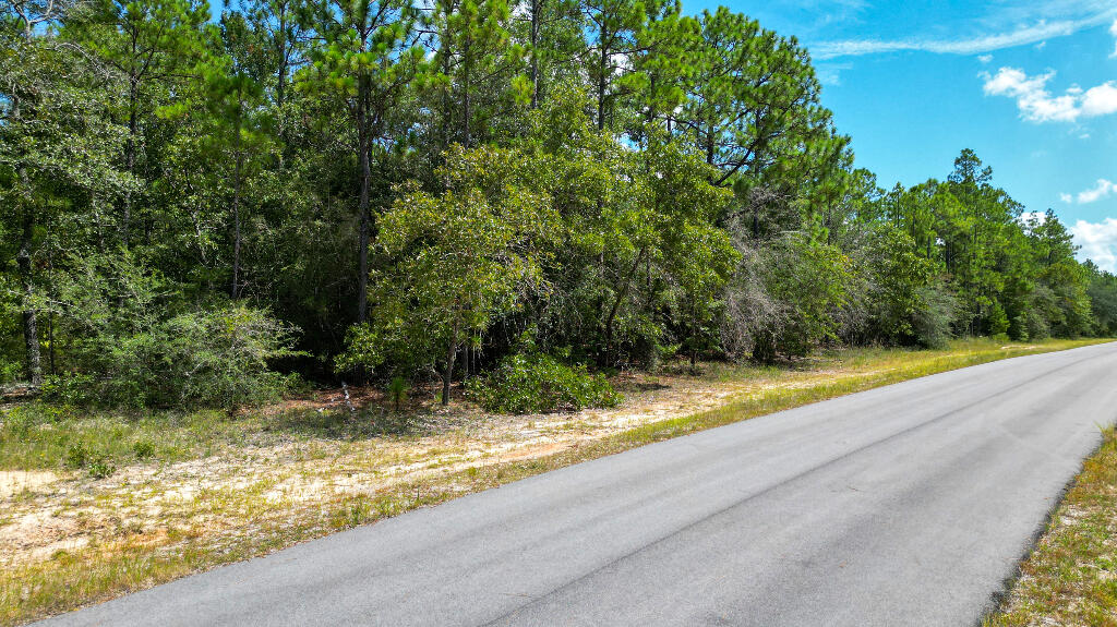 0 Shangri La Road Crestview, FL 32539 - Photo 9 of 16 a view of a yard with a tree