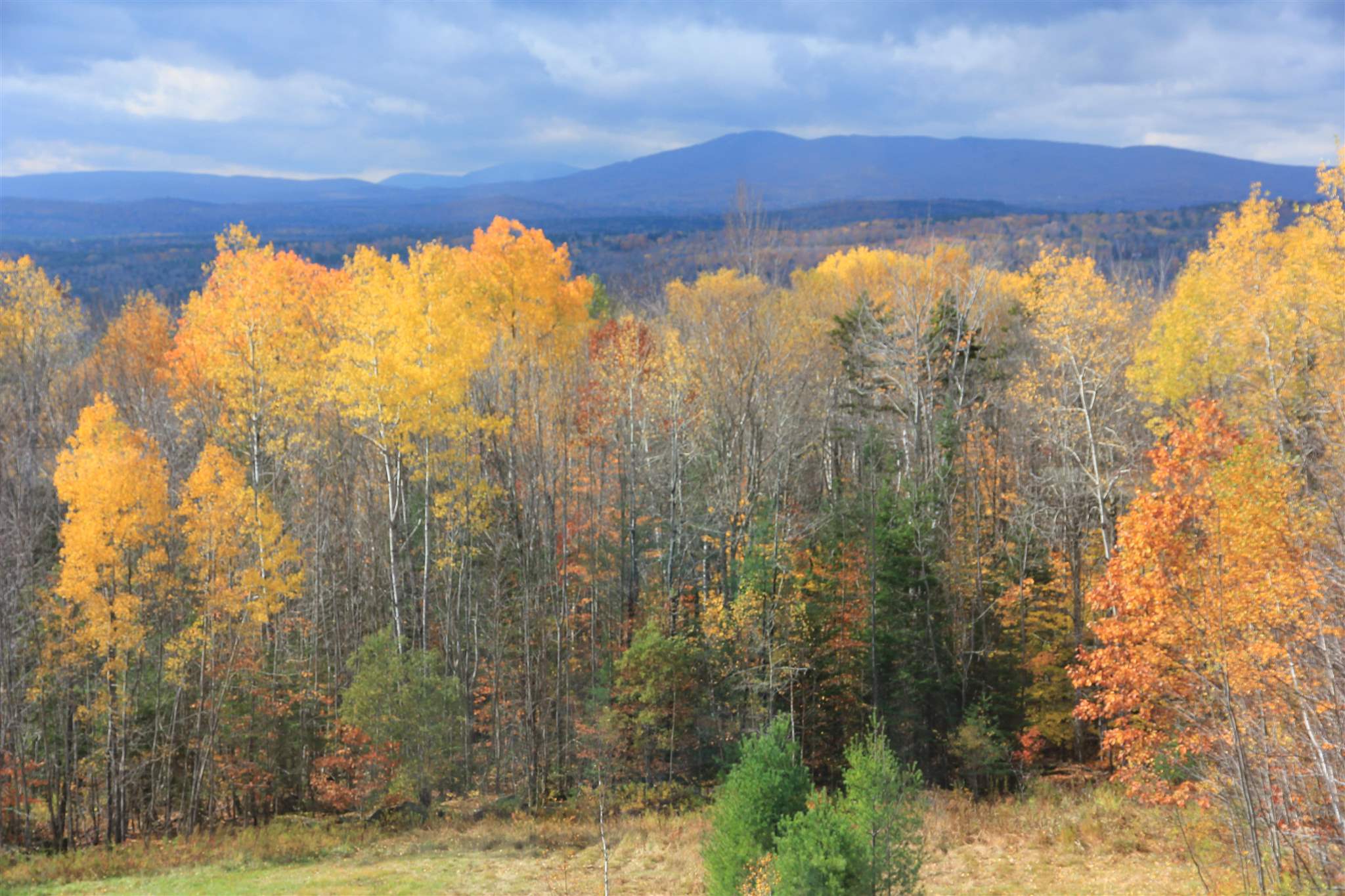 345 Dale Road Weston, VT 05161 - Photo 5 of 40