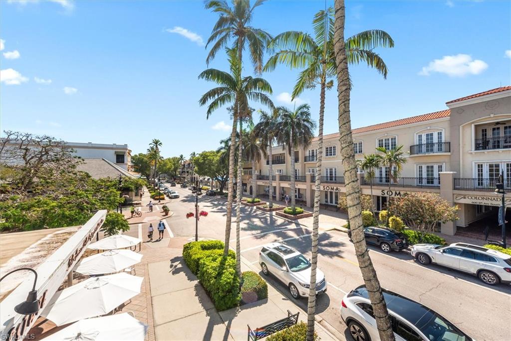 555 5th Avenue South, Unit 204 Naples, FL 34102 - Photo 5 of 30 a view of a palm trees in patio with swimming pool