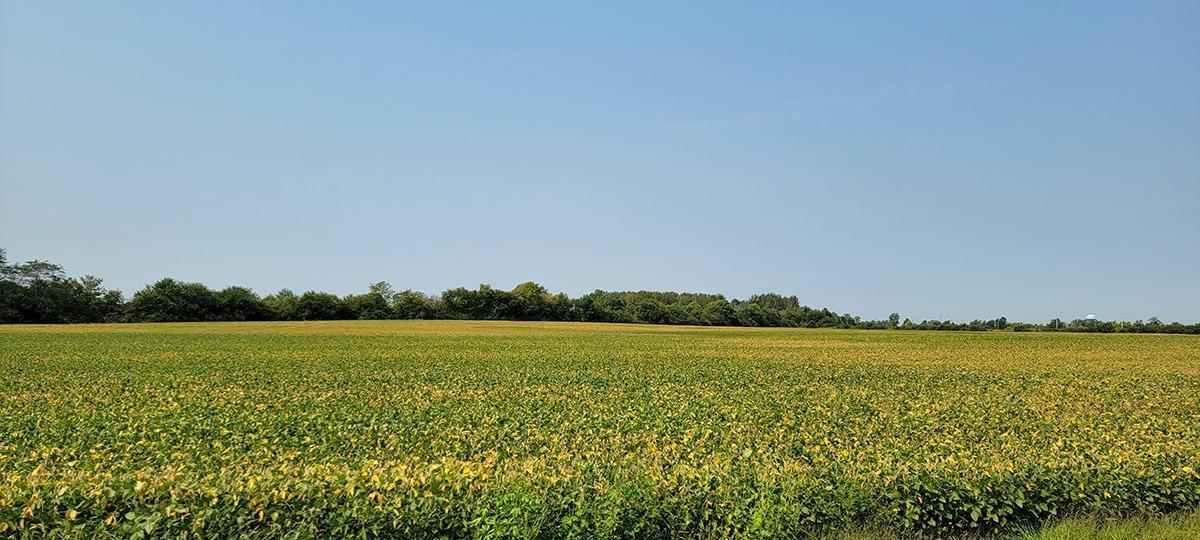 0 Co Road Frankfort, OH 45628 - Photo 4 of 35