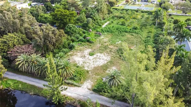 a view of a garden with a tree