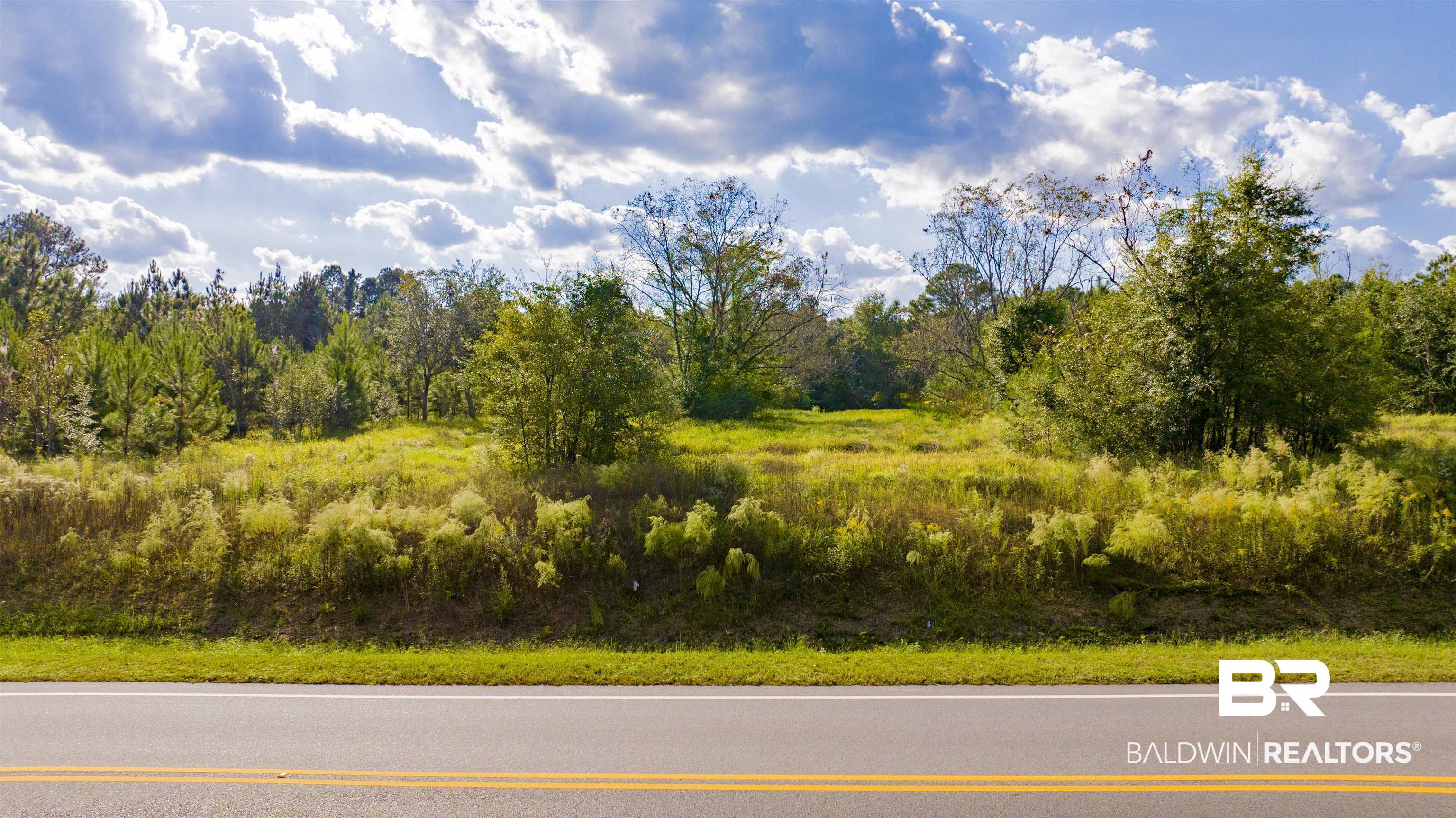 0 West Johnson Road South Mobile, AL 36695 - Photo 1 of 8