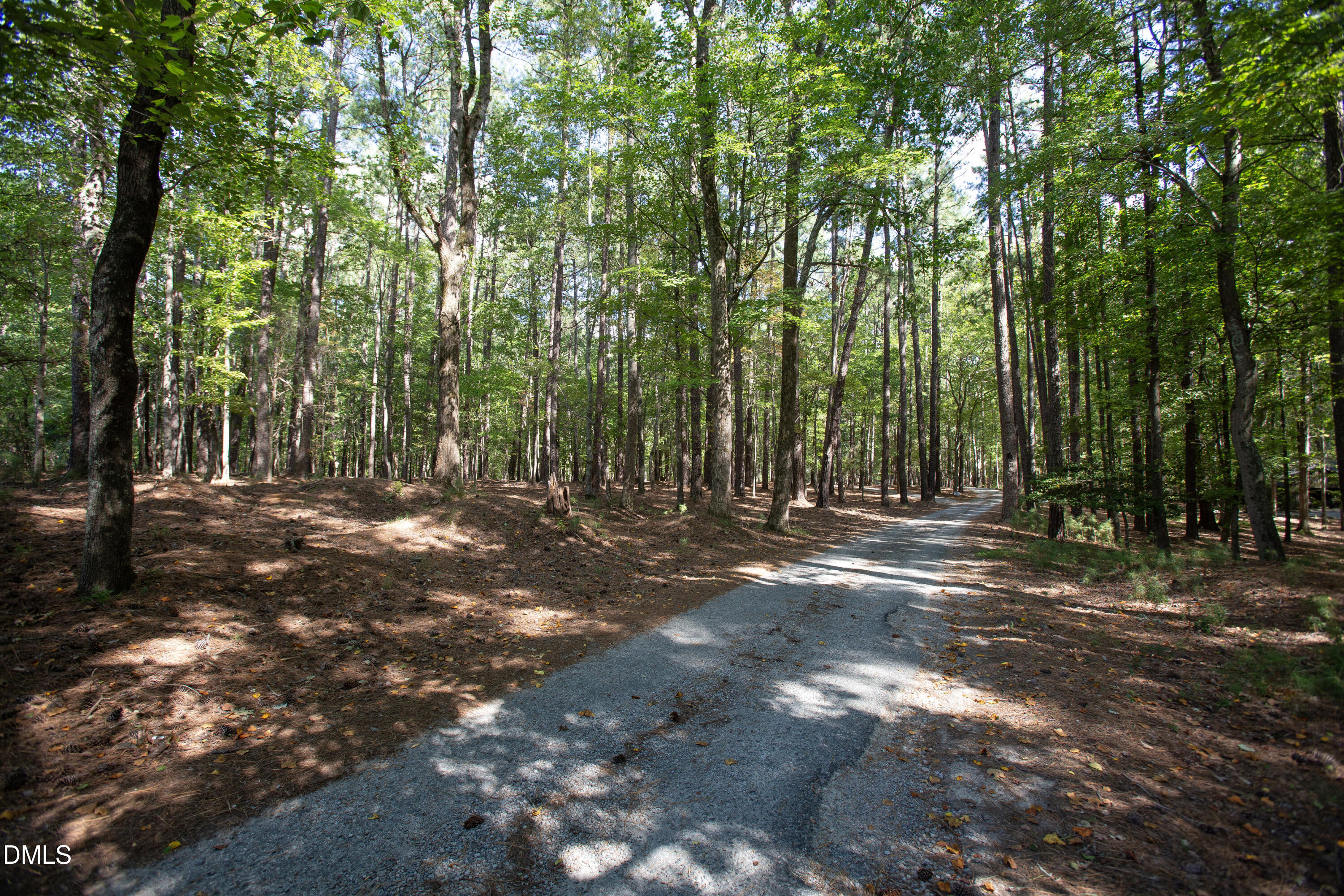 1716 Brassfield Road Raleigh, NC 27614 - Photo 16 of 74 Brassfield 31