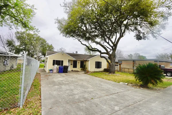 a view of a yard in front of a house with a large tree