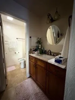 a bathroom with a sink a toilet and a shower