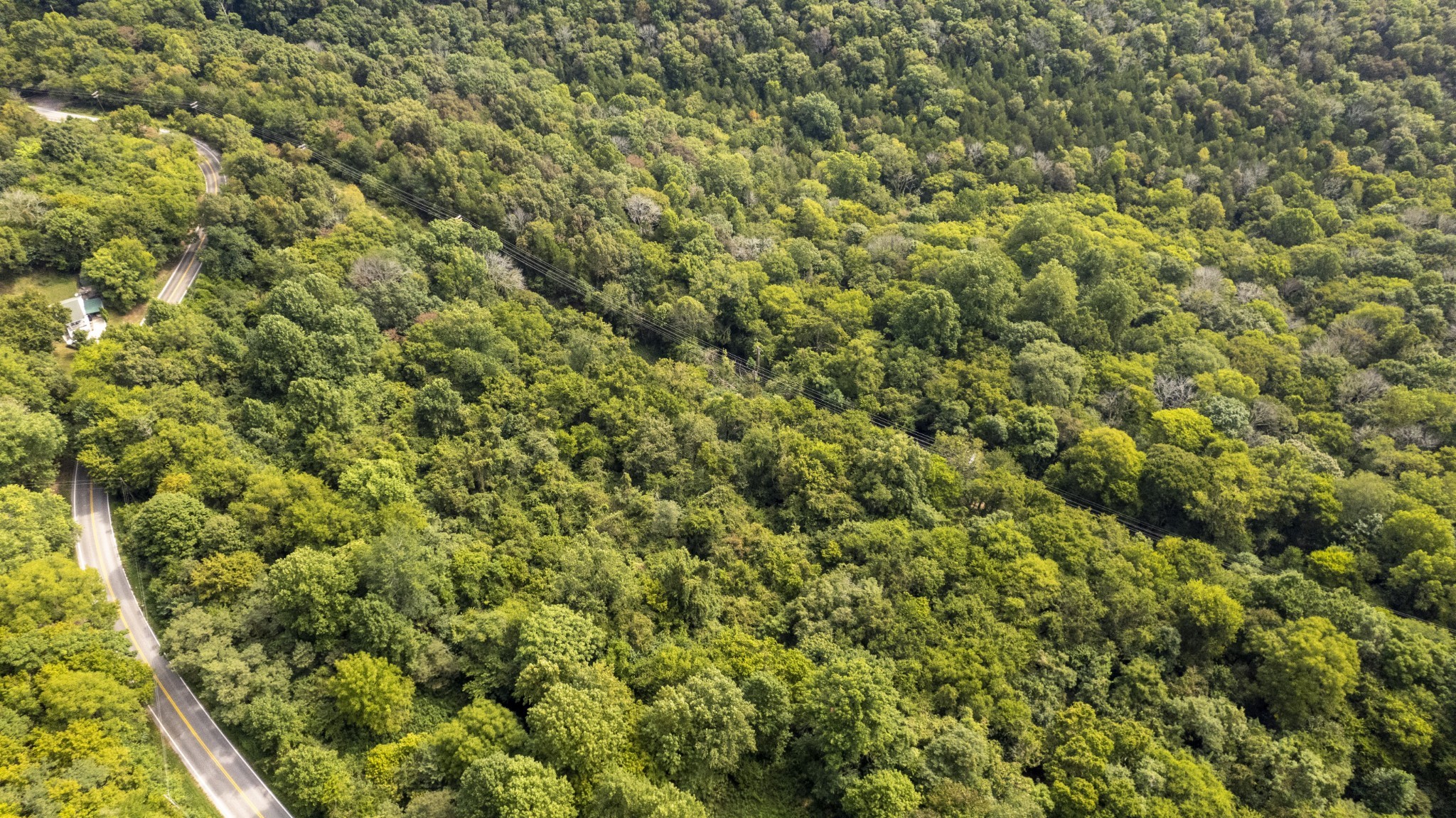 0 Turkey Creek Road Carthage, TN 37030 - Photo 5 of 11 Gallery Image 5