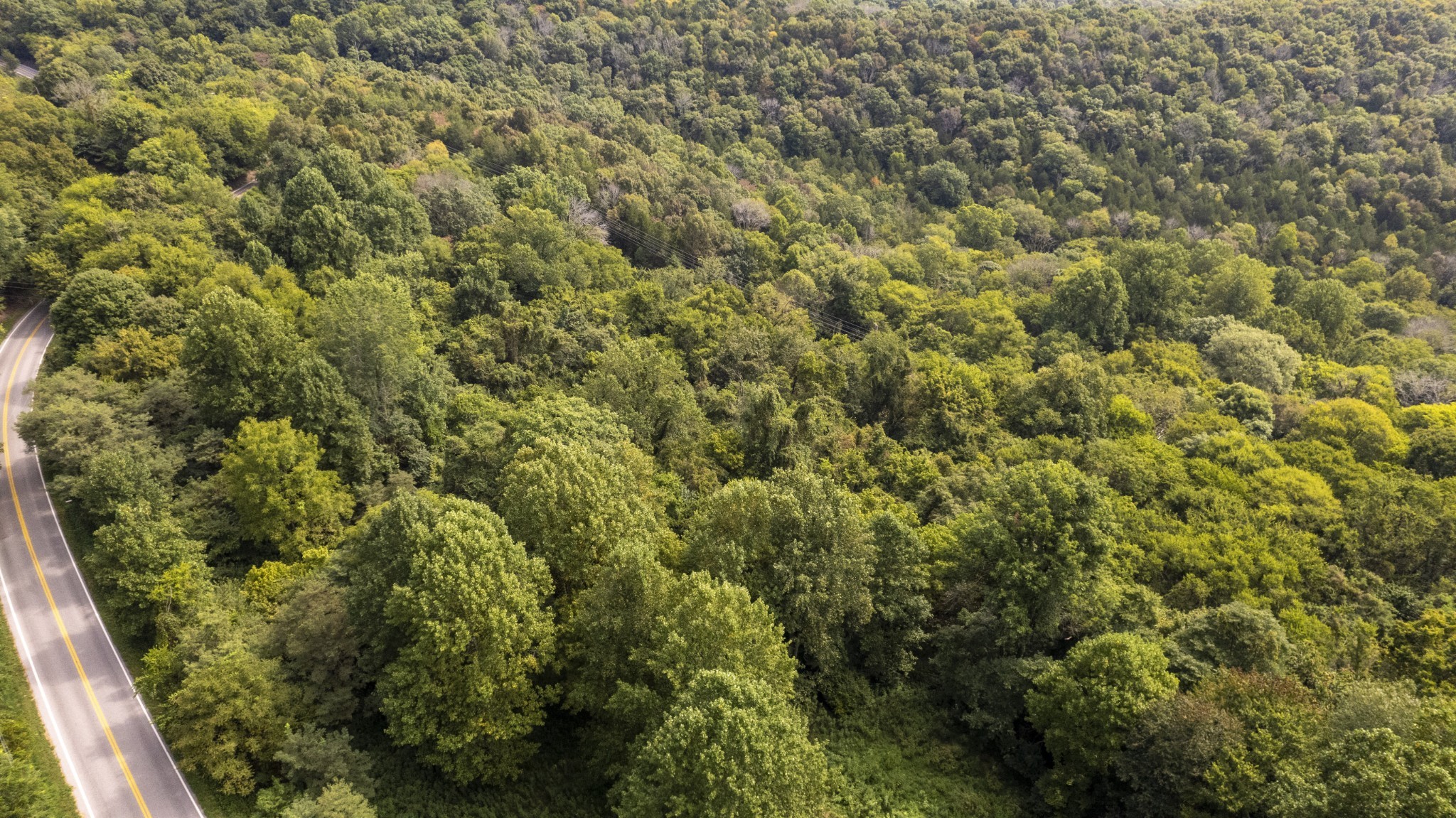 0 Turkey Creek Road Carthage, TN 37030 - Photo 7 of 11 Gallery Image 7