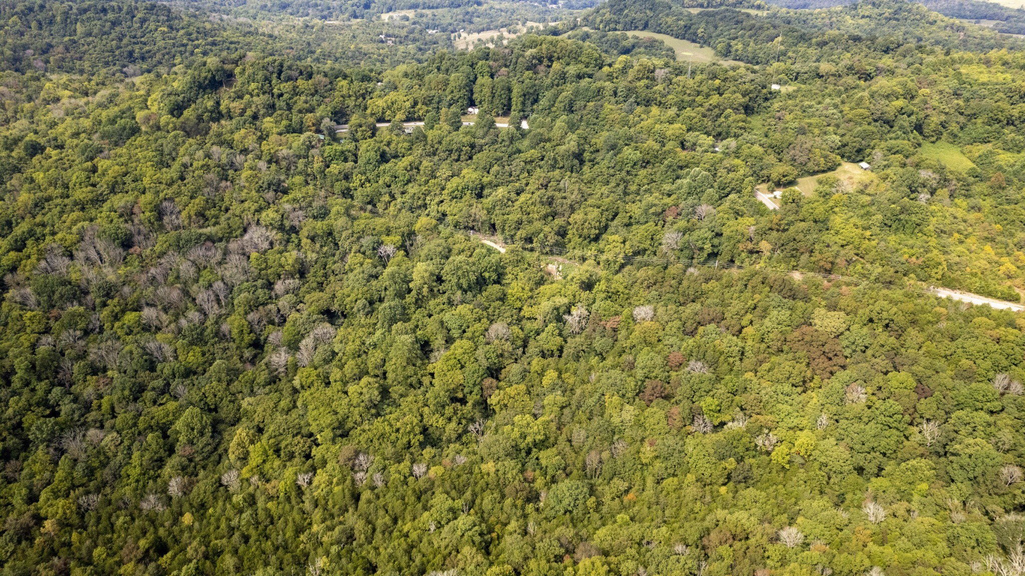 0 Turkey Creek Road Carthage, TN 37030 - Photo 9 of 11 Gallery Image 9