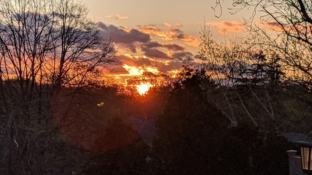 54 Indiana Terrace Newton, MA 02464 - Photo 36 of 39