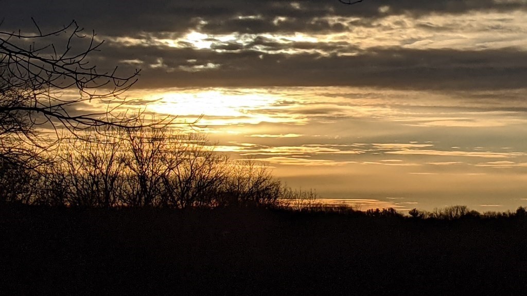 54 Indiana Terrace Newton, MA 02464 - Photo 37 of 39