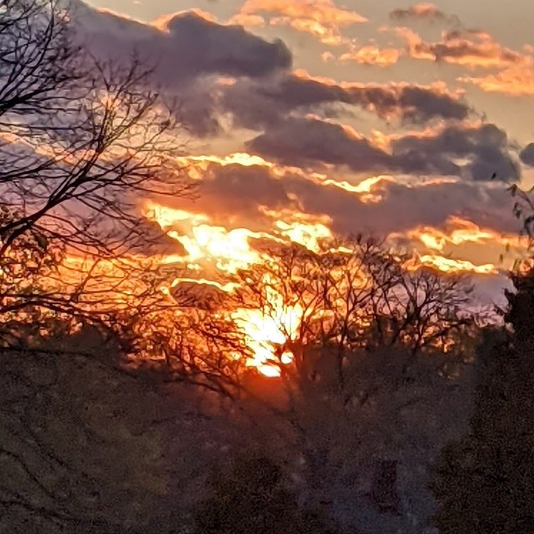 54 Indiana Terrace Newton, MA 02464 - Photo 38 of 39