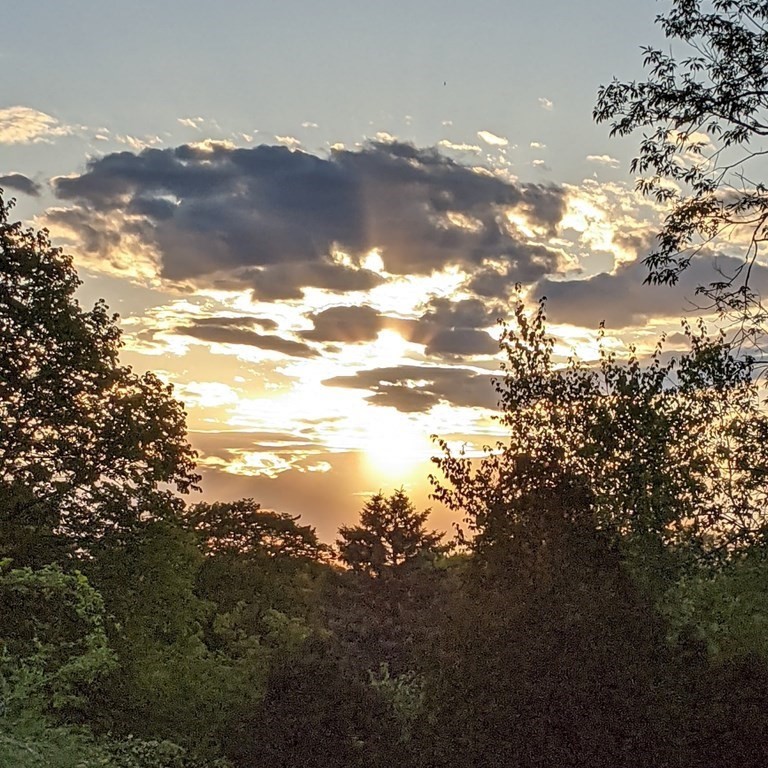 54 Indiana Terrace Newton, MA 02464 - Photo 39 of 39