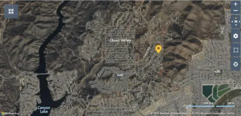 a picture of a tree in a forest