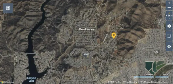 a picture of a tree in a forest