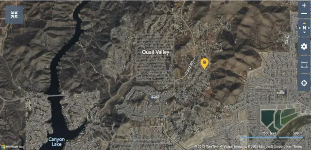 a picture of a tree in a forest