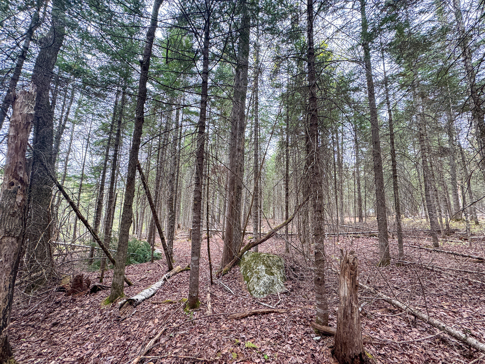 M5-l59 Monument Road Abbot, ME 04406 - Photo 12 of 25