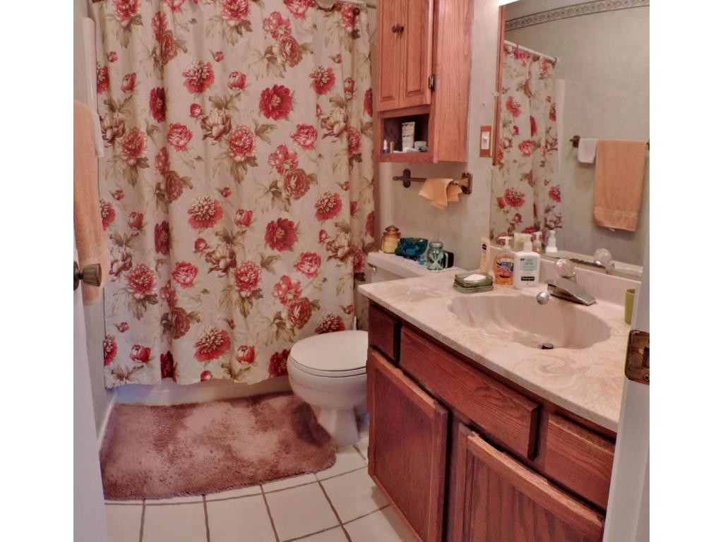 128 Couch Road Jonesborough, TN 37659 - Photo 14 of 24 Master Bath