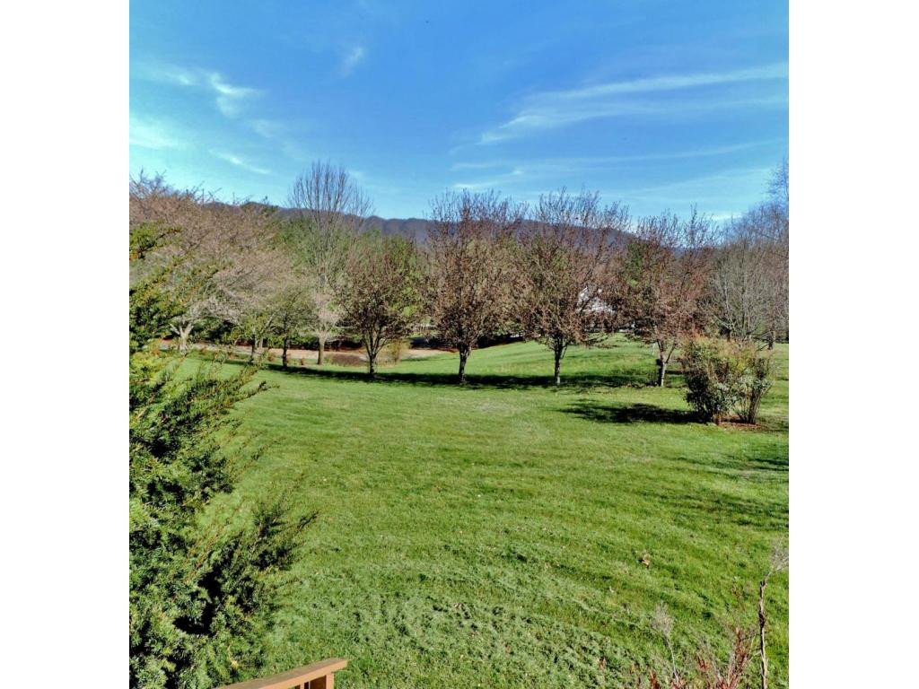 128 Couch Road Jonesborough, TN 37659 - Photo 23 of 24 Park Like Yard