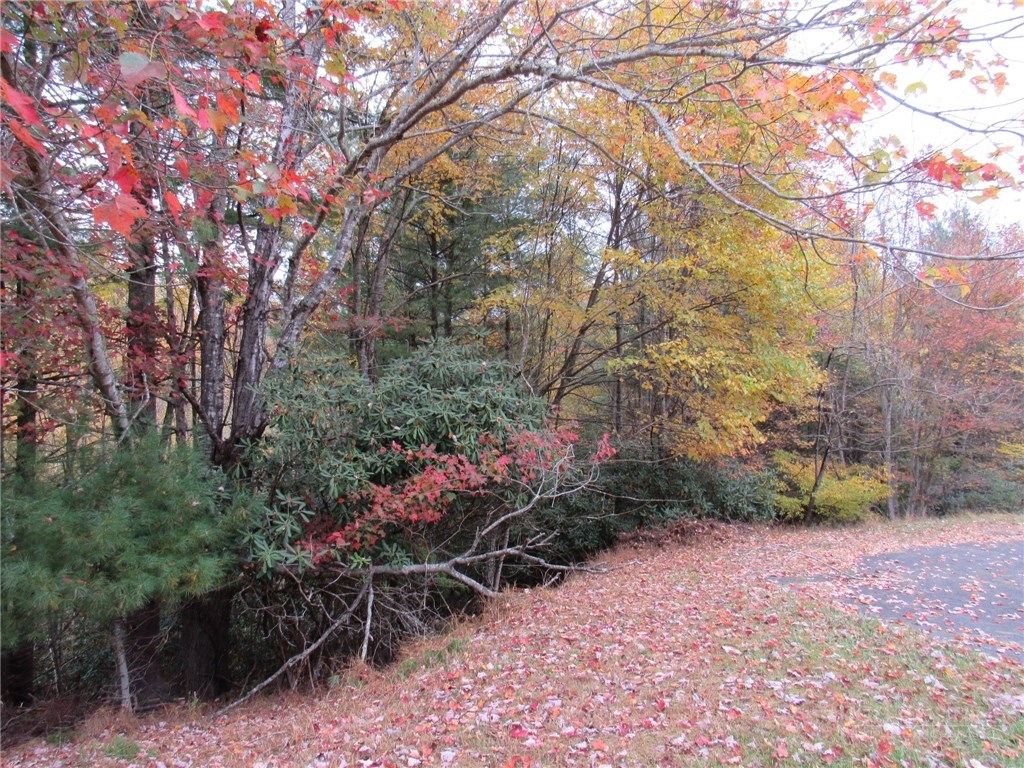 Lot 124 Blue Ridge View Piney Creek, NC 28663 - Photo 1 of 14 a view of a garden with plants and trees